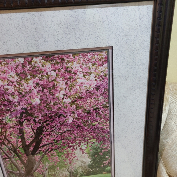 Framed Wall Cherry Blossom Poster 25 in x 31 in - Picture 4 of 4